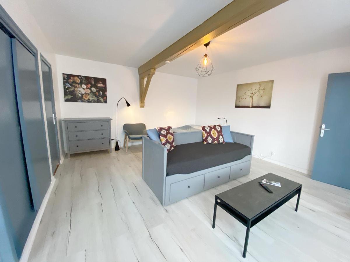 015 Chic & Cosy Studio 41M2 Hypercentre Wifi Smart Tv Netflix Saint-Etienne  Kültér fotó