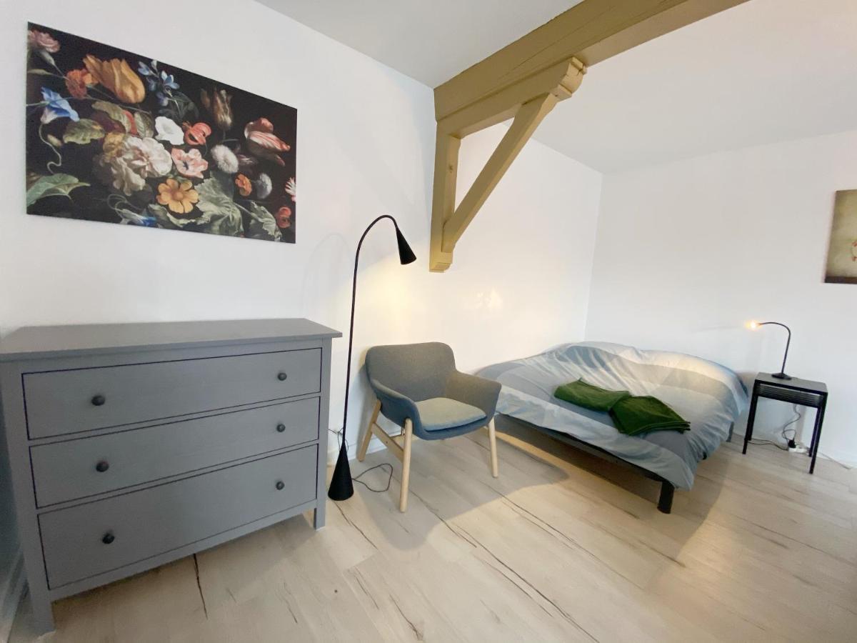 015 Chic & Cosy Studio 41M2 Hypercentre Wifi Smart Tv Netflix Saint-Etienne  Kültér fotó