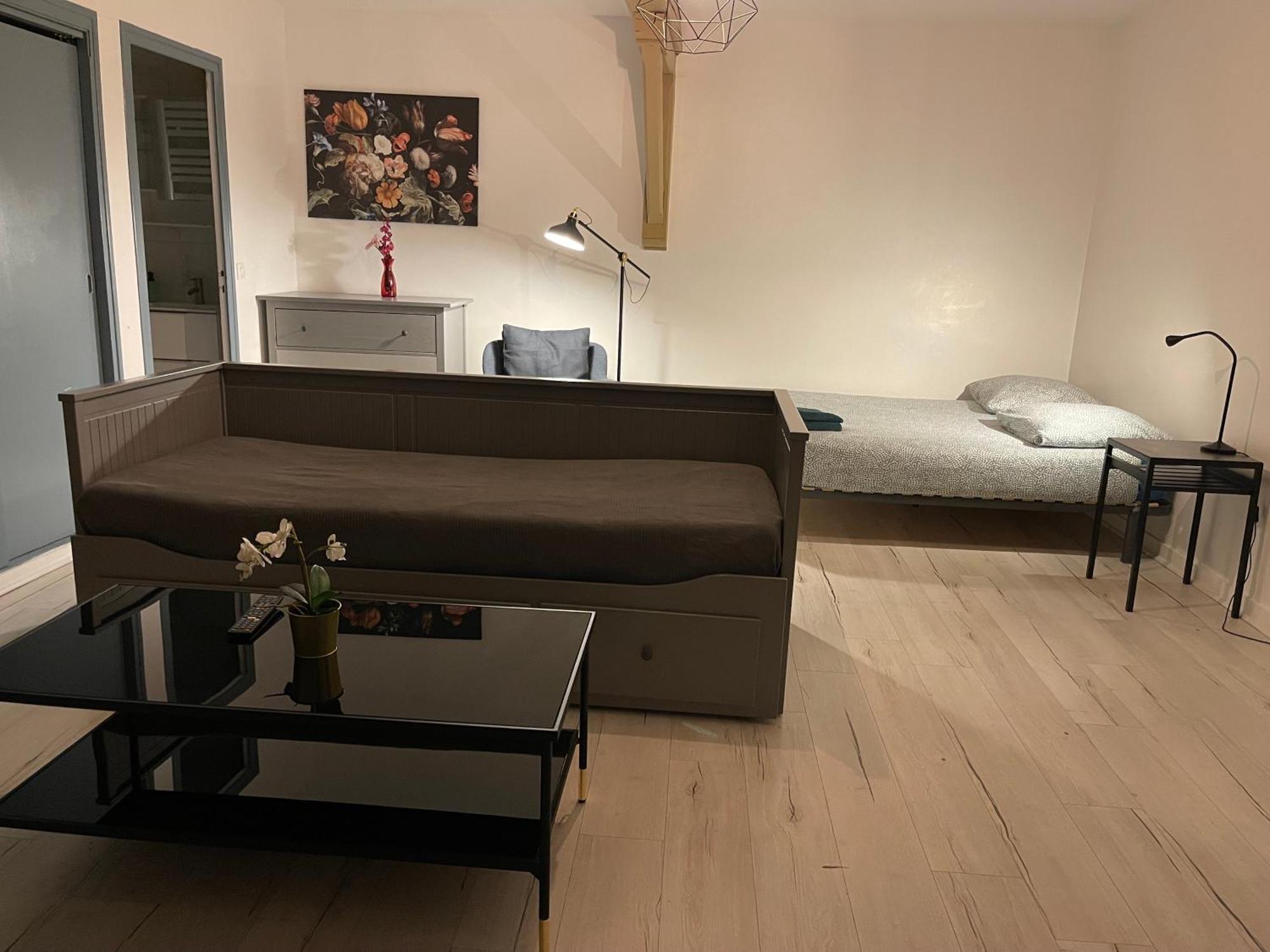 015 Chic & Cosy Studio 41M2 Hypercentre Wifi Smart Tv Netflix Saint-Etienne  Kültér fotó